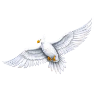 Majestic White Wings Illustration Png 72 PNG image