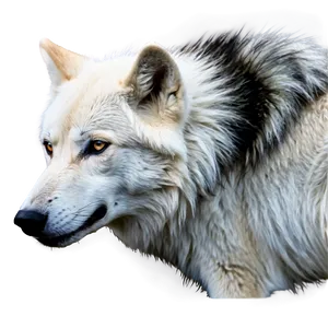 Majestic White Wolf PNG 05032024