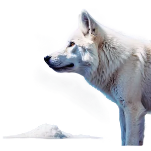Majestic White Wolf PNG 94