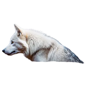 Majestic White Wolf PNG Dgk
