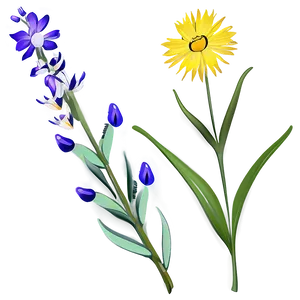 Majestic Wildflower Splendor PNG Sml
