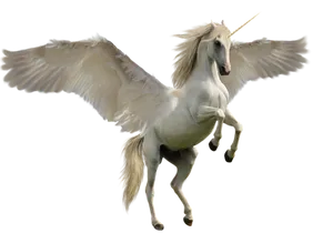 Majestic Winged Unicorn PNG image