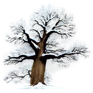 Majestic Winter Oak Trees Png Roi PNG image