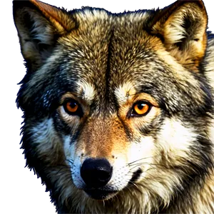 Majestic Wolf Eyes PNG 65