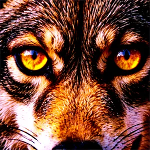 Majestic Wolf Eyes PNG Gvc PNG