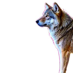Majestic Wolf PNG 05032024