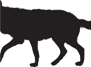 Majestic Wolf Silhouette PNG image