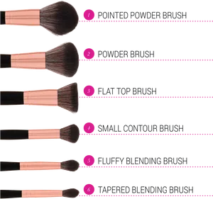 Makeup Brush Types Explained PNG image