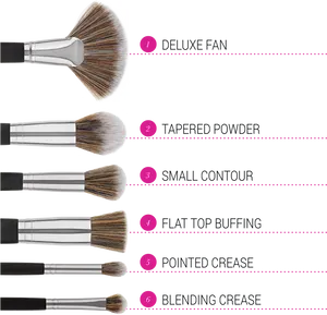 Makeup Brush Typesand Uses PNG image