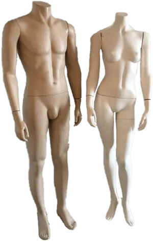 Male_and_ Female_ Mannequins_ Display