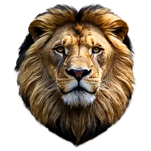 Male Lion Majesty PNG Ygd PNG