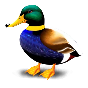 Male Mallard Duck Png 06262024 PNG image