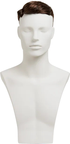Male Mannequin Bust Display