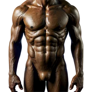 Male Torso Reference PNG 06282024