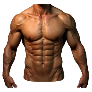 Male Torso Reference PNG Cgx