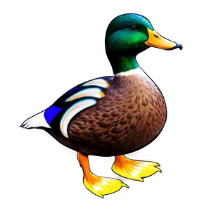 Mallard Duck Clipart PNG 36 PNG