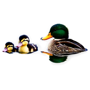 Mallard Duck Family Png 06262024 PNG image