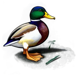 Mallard Duck Feeding PNG 66