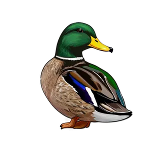 Mallard Duck Habitat PNG 06262024