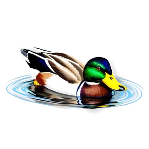 Mallard Duck In Water PNG Pum18 PNG