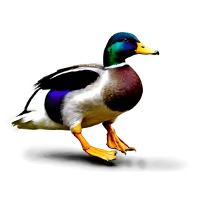 Mallard Duck Landing Png Pen64 PNG image