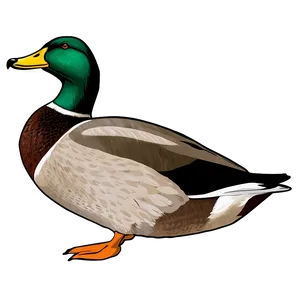 Mallard Duck Outline PNG 32 PNG
