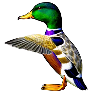 Mallard Duck Scene PNG Fvt PNG
