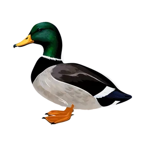 Mallard Duck Silhouette PNG Hty56 PNG