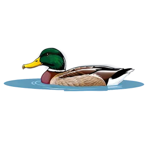 Mallard Duck Swimming Png Ekk PNG image