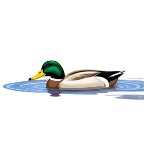 Mallard Duck Swimming PNG Hgh PNG
