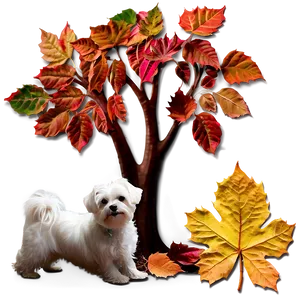 Maltese In Autumn Leaves PNG 06282024