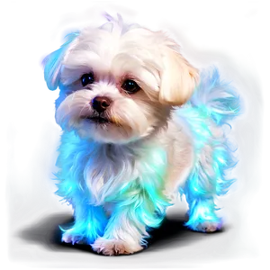 Maltese With Glowing Fur PNG 25