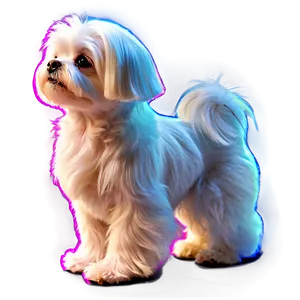 Maltese With Glowing Fur PNG Qox