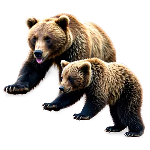 Mama Bear And Cubs Clipart Png 06132024 PNG image