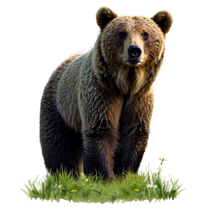 Mama Bear In Nature Scene Png Bcc PNG image