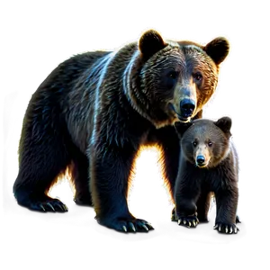 Mama Bear With Baby Bear Png 06132024 PNG image