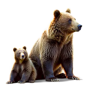 Mama Bear With Baby Bear Png Ble PNG image