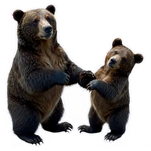 Mama Bear With Baby Bear Png Cbk PNG image