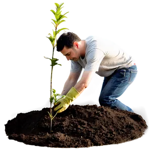 Man Planting Tree PNG 17