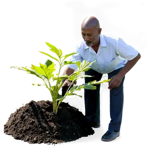 Man Planting Tree PNG Pjh