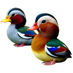 Mandarin Duck Png 05032024 PNG image