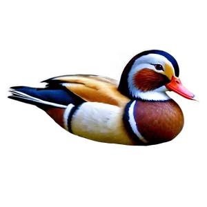 Mandarin Duck PNG Uit