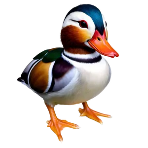 Mandarin Duck Png Vxm36 PNG image