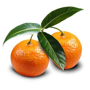 Mandarin Oranges Png Pcc98 PNG image