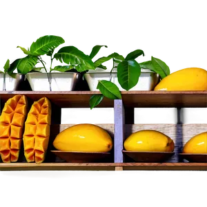 Mango Cocktail Png Tvh65 PNG image