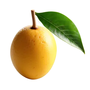 Mango Dessert Png Msw PNG image