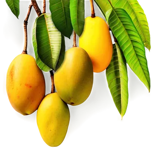 Mango Orchard Png 05232024 PNG image