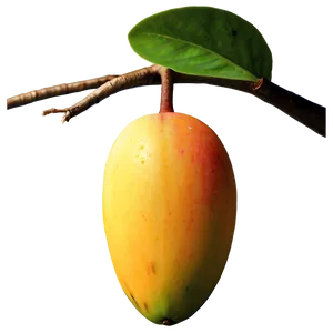 Mango Snack PNG 63