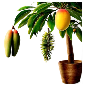 Mango Tree Png 05232024 PNG image