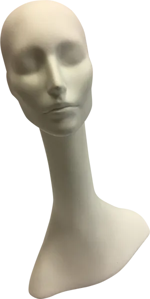 Mannequin Head Display